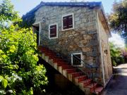 Top Grosseto-Prugna Top Grosseto-Prugna