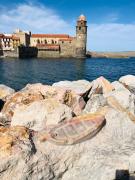 Top Collioure