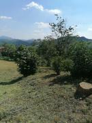 Top Barca di Montemarzino