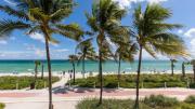 Top Miami Beach