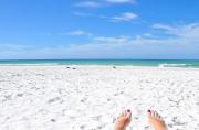 Top Siesta Key