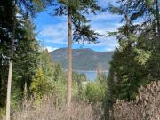 Top Blind Bay