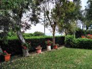 Top Civitavecchia