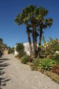 Can Beia Rural House Ibiza