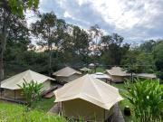 Top Kampong Sum Sum