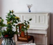 Top Mediaş Top Mediaş