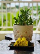 Homestay Yellow Natural House