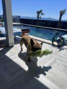 Villa Belissima Vista Mare