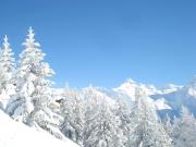 Top Rosswald Top Rosswald