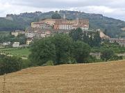 Top Monterchi