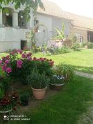 Top Szentgyörgyvölgy