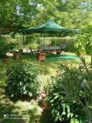 Top Szentgyörgyvölgy