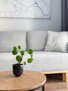 Top Wrocław Top Wrocław