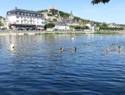 Top Montrichard Top Montrichard