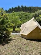 Top Figueiró dos Vinhos