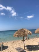 Top Punta Prosciutto