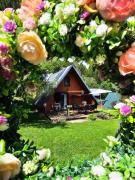 Top Štiavnické Bane