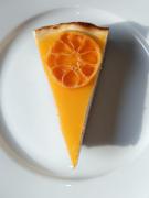 Top Kamenný Přívoz