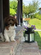 Kulcs a Kulcshoz Menedék