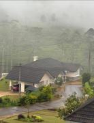 The Eight at Willows