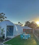 Top Barra de Navidad