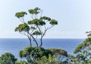 Top Mollymook