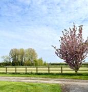 Orchard Hideaway, Bielby, York