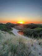 Beach House With Sea View In The Dunes At Saltum