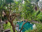 Top Ubud