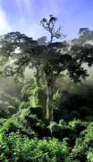 Top Natureʼs Valley