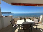 Top Roses