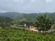 The Eight at Willows