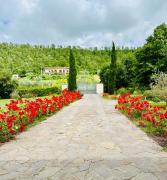 Luxury Apartment Lake View