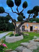 Top Laureana Cilento