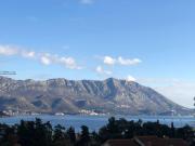 Celebrity Apartments