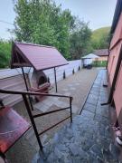 Top Timisul de Jos Top Timisul de Jos