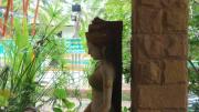 Top Ban Nong Ka Cha