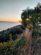 Top Skala Marion Top Skala Marion