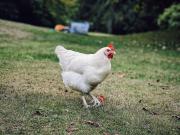 Top London Top London