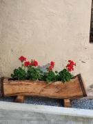 Top Rossana