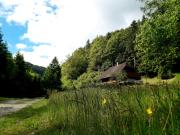 Apartmaji Brložnica pod Veliko planino