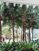 azure beach front view