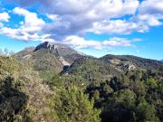 Top Buis-les-Baronnies