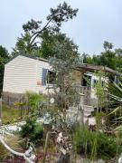 La Pinède Ensoleillée au Camping La Dune Blanche