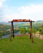 Delfim Douro Hotel