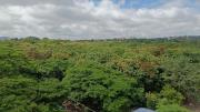 Top Mysore