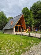 Cabana AFrame Olanesti