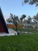 Top Tirana