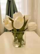 Top Székesfehérvár