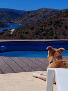 Top Torre de Moncorvo